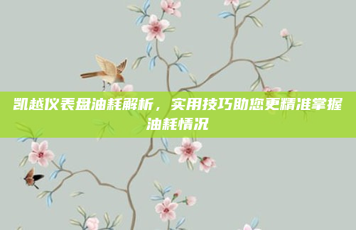 凯越仪表盘油耗解析,实用技巧助您更精准掌握油耗情况