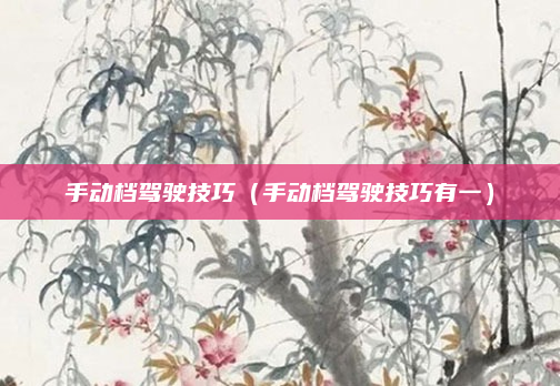 手动档驾驶技巧(手动档驾驶技巧有一)