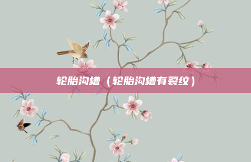 轮胎沟槽(轮胎沟槽有裂纹)