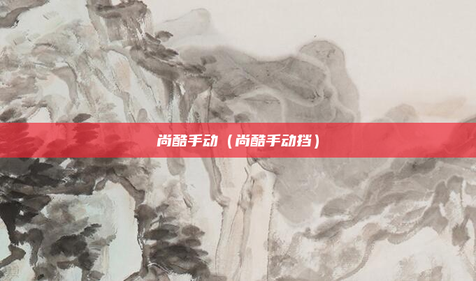 尚酷手动(尚酷手动挡)