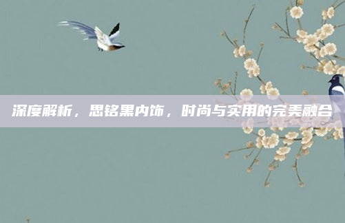 深度解析，思铭黑内饰，时尚与实用的完美融合