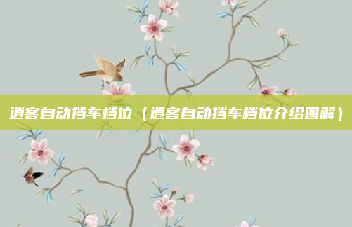 逍客自动挡车档位(逍客自动挡车档位介绍图解)