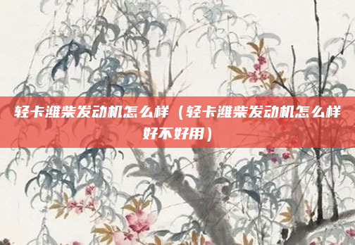 轻卡潍柴发动机怎么样(轻卡潍柴发动机怎么样好不好用)