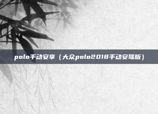 polo手动安享(大众polo2018手动安驾版)