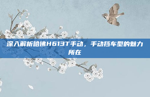 深入解析哈佛H613T手动，手动挡车型的魅力所在