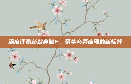 深度评测新款奔驰E，豪华商务座驾的新标杆