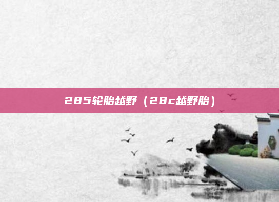 285轮胎越野(28c越野胎)