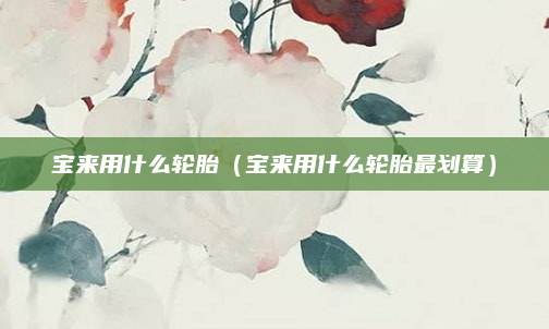 宝来用什么轮胎（宝来用什么轮胎最划算）