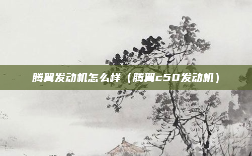 腾翼发动机怎么样(腾翼c50发动机)