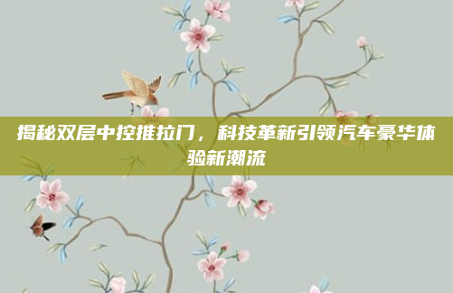 揭秘双层中控推拉门，科技革新引领汽车豪华体验新潮流
