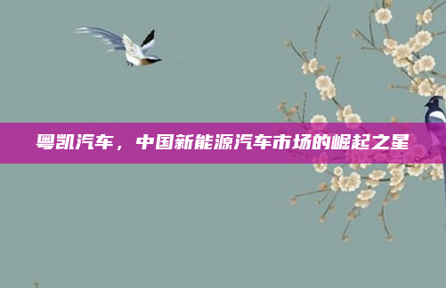 粤凯汽车，中国新能源汽车市场的崛起之星