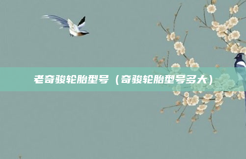 老奇骏轮胎型号(奇骏轮胎型号多大)