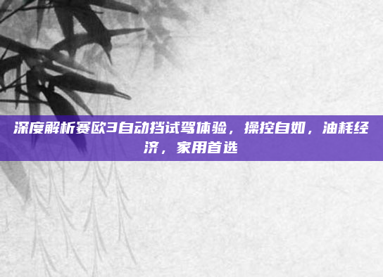 深度解析赛欧3自动挡试驾体验，操控自如，油耗经济，家用首选
