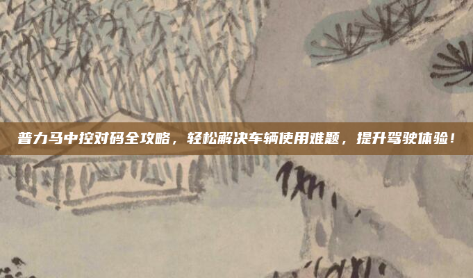 普力马中控对码全攻略，轻松解决车辆使用难题，提升驾驶体验！