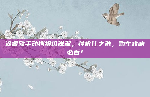 途睿欧手动挡报价详解，性价比之选，购车攻略必看！