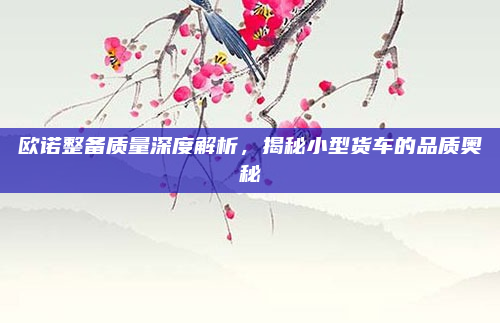 欧诺整备质量深度解析,揭秘小型货车的品质奥秘