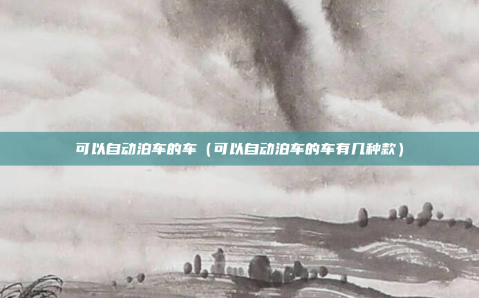可以自动泊车的车（可以自动泊车的车有几种款）