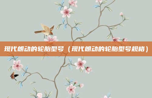 现代朗动的轮胎型号(现代朗动的轮胎型号规格)