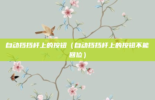 自动挡挡杆上的按钮(自动挡挡杆上的按钮不能回位)