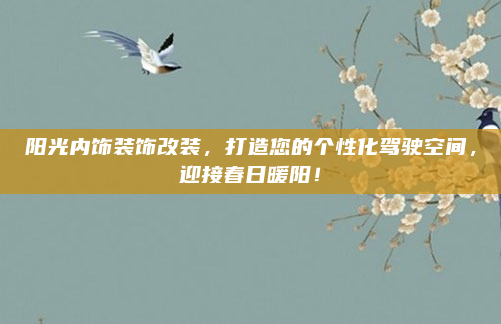 阳光内饰装饰改装，打造您的个性化驾驶空间，迎接春日暖阳！