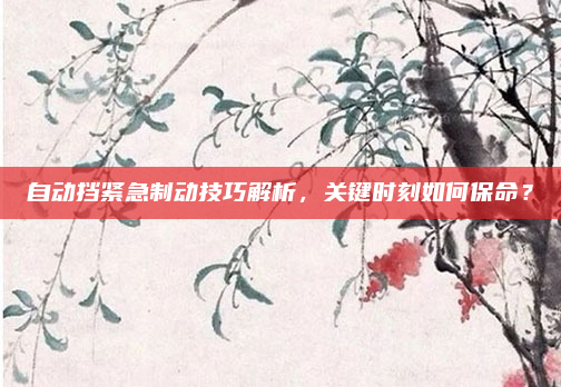 自动挡紧急制动技巧解析，关键时刻如何保命？