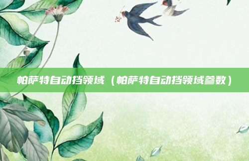 帕萨特自动挡领域(帕萨特自动挡领域参数)