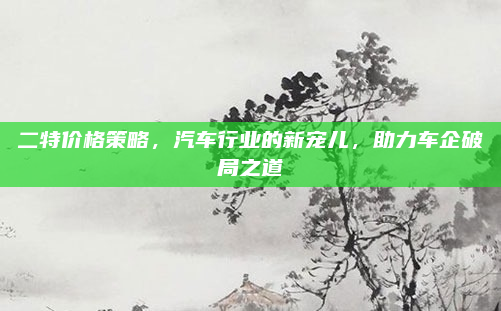 二特价格策略，汽车行业的新宠儿，助力车企破局之道