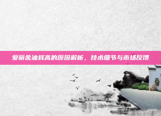 爱丽舍油耗高的原因解析，技术细节与市场反馈