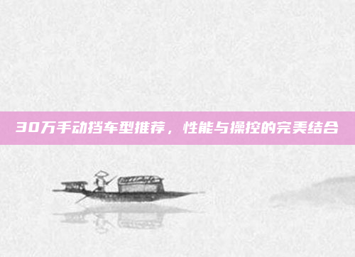 30万手动挡车型推荐，性能与操控的完美结合