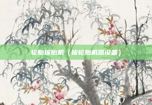 轮胎拔胎机（拔轮胎机器设备）