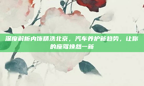 深度解析内饰精洗北京，汽车养护新趋势，让你的座驾焕然一新