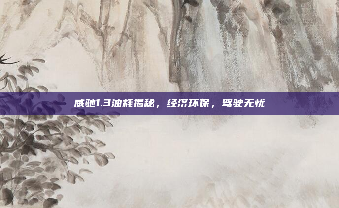 威驰1.3油耗揭秘，经济环保，驾驶无忧