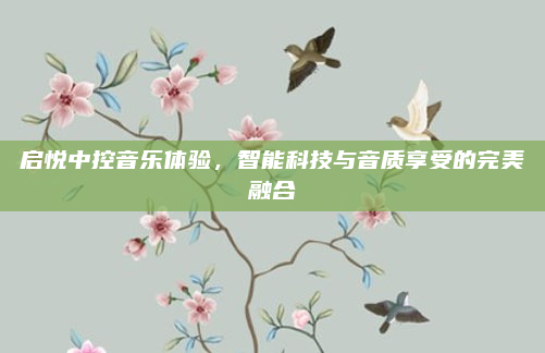 启悦中控音乐体验，智能科技与音质享受的完美融合