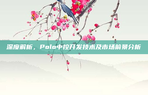 深度解析，Polo中控开发技术及市场前景分析
