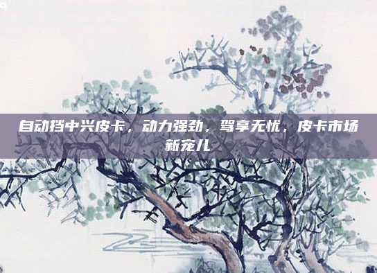 自动挡中兴皮卡，动力强劲，驾享无忧，皮卡市场新宠儿