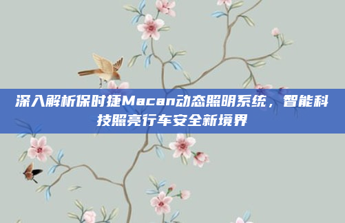 深入解析保时捷Macan动态照明系统，智能科技照亮行车安全新境界