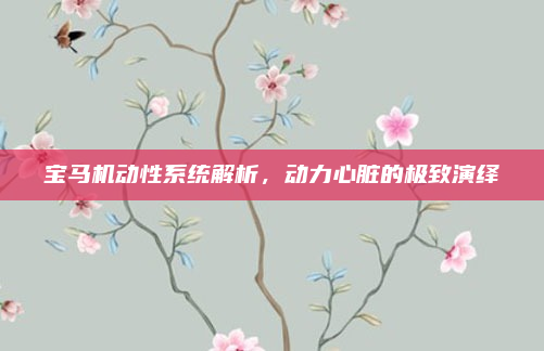 宝马机动性系统解析，动力心脏的极致演绎