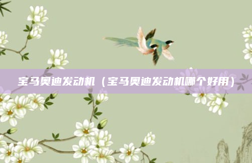 宝马奥迪发动机(宝马奥迪发动机哪个好用)