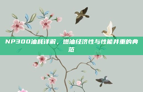 NP300油耗详解,燃油经济性与性能并重的典范