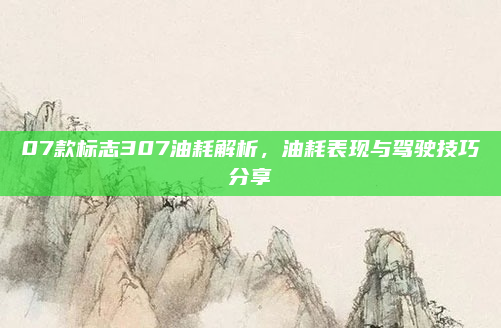 07款标志307油耗解析，油耗表现与驾驶技巧分享