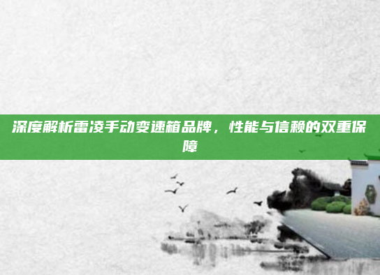 深度解析雷凌手动变速箱品牌，性能与信赖的双重保障