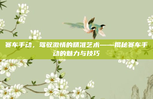 赛车手动，驾驭激情的精准艺术——揭秘赛车手动的魅力与技巧