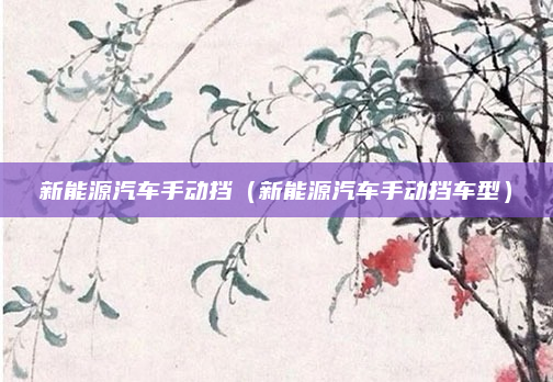 新能源汽车手动挡（新能源汽车手动挡车型）