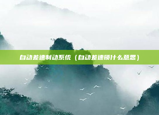 自动差速制动系统(自动差速锁什么意思)