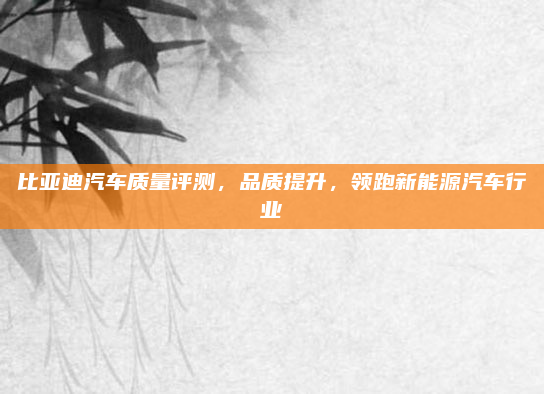 比亚迪汽车质量评测，品质提升，领跑新能源汽车行业