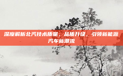 深度解析北汽技术质量，品质升级，引领新能源汽车新潮流