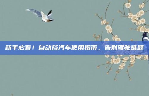 新手必看！自动挡汽车使用指南，告别驾驶难题