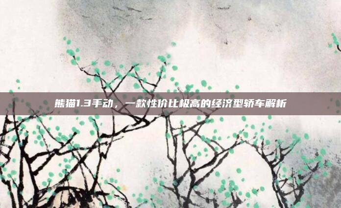 熊猫1.3手动，一款性价比极高的经济型轿车解析