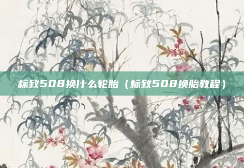 标致508换什么轮胎(标致508换胎教程)
