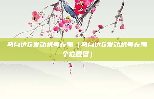 马自达6发动机号在哪（马自达6发动机号在哪个位置图）